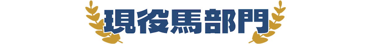 現役馬部門